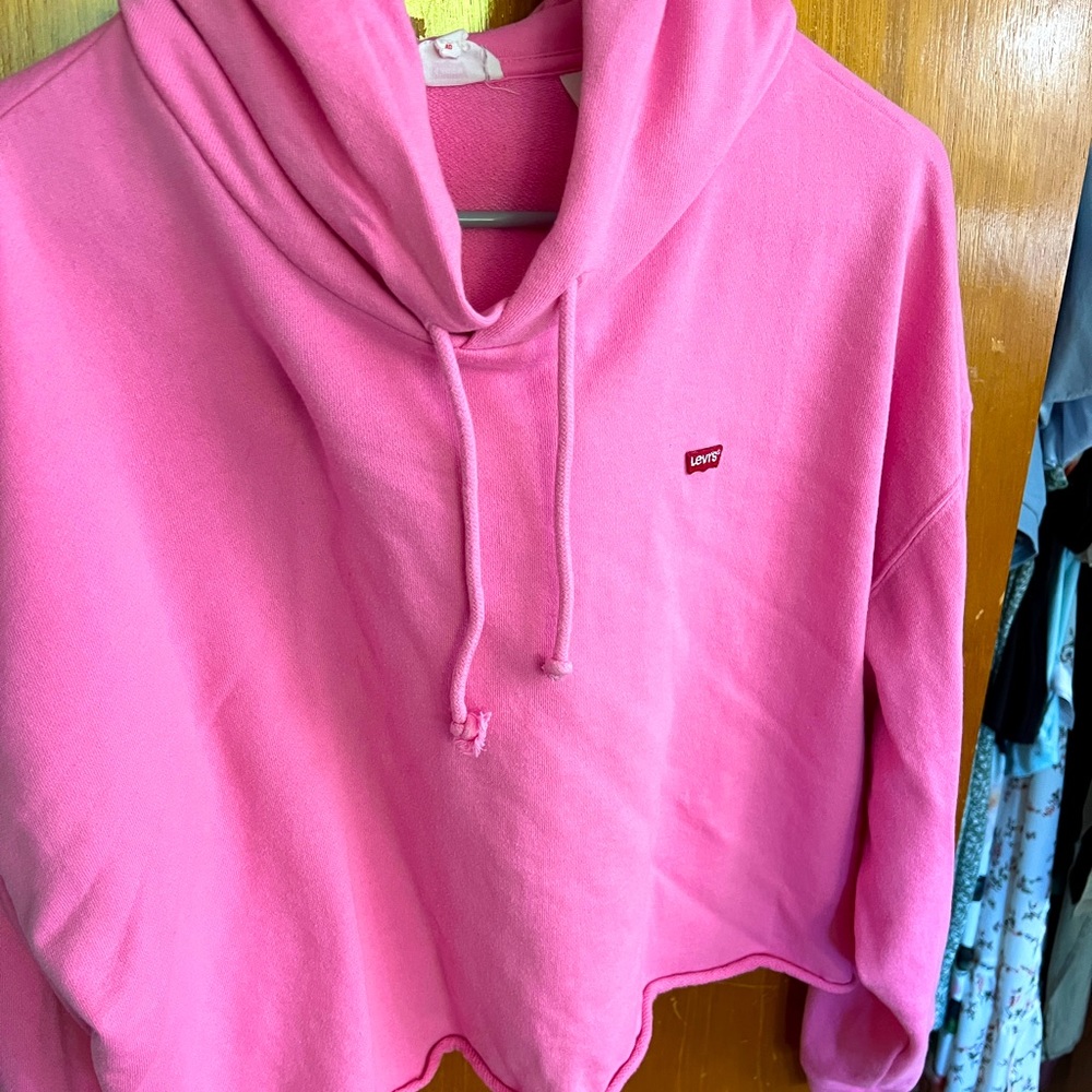 CRop top hoodie